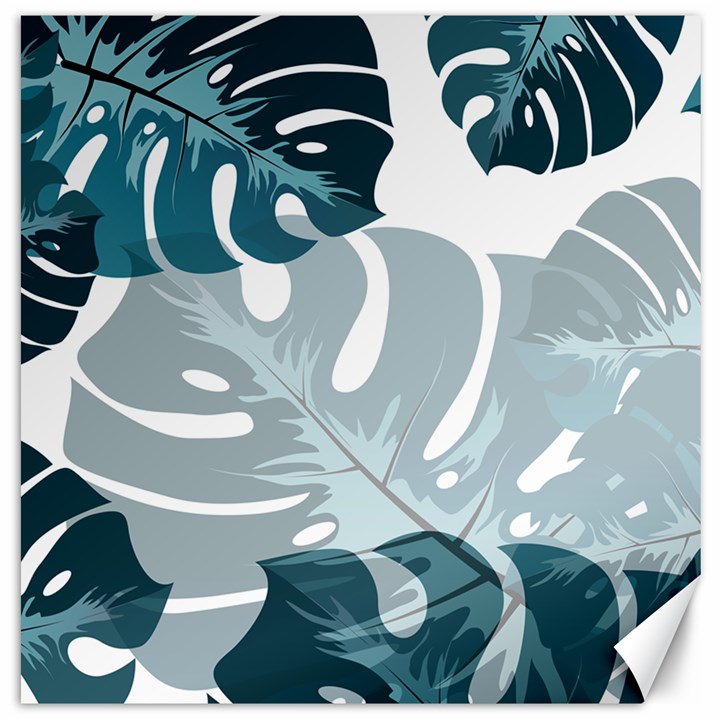 Monstera Leaves Background Canvas 16  x 16 