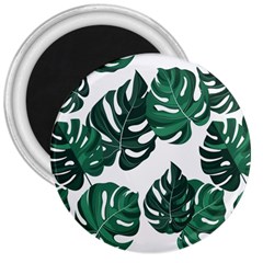 Illustrations Monstera Leafes 3  Magnets