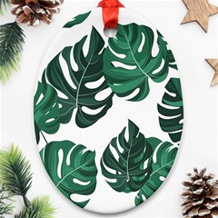 Illustrations Monstera Leafes Ornament (oval)