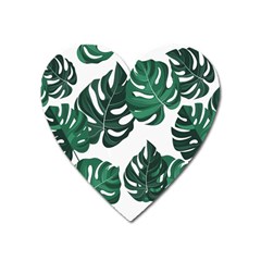 Illustrations Monstera Leafes Heart Magnet by anzea