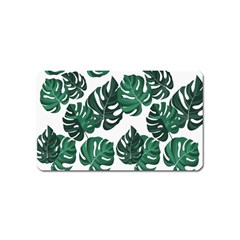 Illustrations Monstera Leafes Magnet (name Card) by anzea