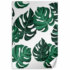 Illustrations Monstera Leafes Canvas 20  X 30  by anzea