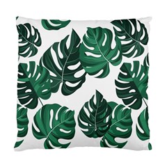 Illustrations Monstera Leafes Standard Cushion Case (one Side)