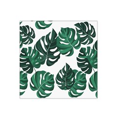 Illustrations Monstera Leafes Satin Bandana Scarf 22  X 22  by anzea