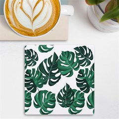 Illustrations Monstera Leafes Uv Print Square Tile Coaster  by anzea