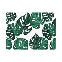 Illustrations Monstera Leafes Premium Plush Fleece Blanket (mini)