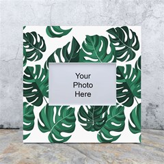 Illustrations Monstera Leafes White Box Photo Frame 4  X 6  by anzea