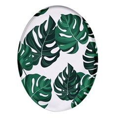 Illustrations Monstera Leafes Oval Glass Fridge Magnet (4 Pack)