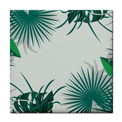 Illustrations Foliage Background Border Tile Coaster