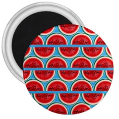 Illustrations Watermelon Texture Pattern 3  Magnets by anzea