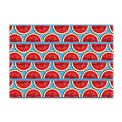 Illustrations Watermelon Texture Pattern Sticker A4 (10 Pack)