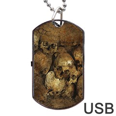 Skull Texture Vintage Dog Tag Usb Flash (one Side) by anzea