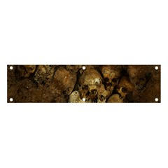 Skull Texture Vintage Banner And Sign 4  X 1 