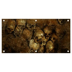 Skull Texture Vintage Banner And Sign 4  X 2 