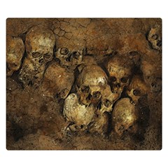 Skull Texture Vintage Premium Plush Fleece Blanket (small)