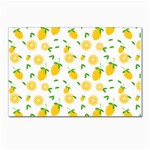 Illustrations Lemon Citrus Fruit Yellow Postcard 4 x 6  (Pkg of 10) Front