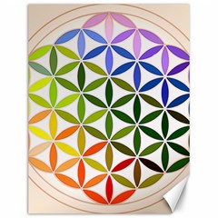 Mandala Rainbow Colorful Canvas 12  X 16  by Ndabl3x