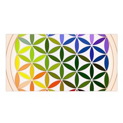 Mandala Rainbow Colorful Satin Shawl 45  X 80  by Ndabl3x