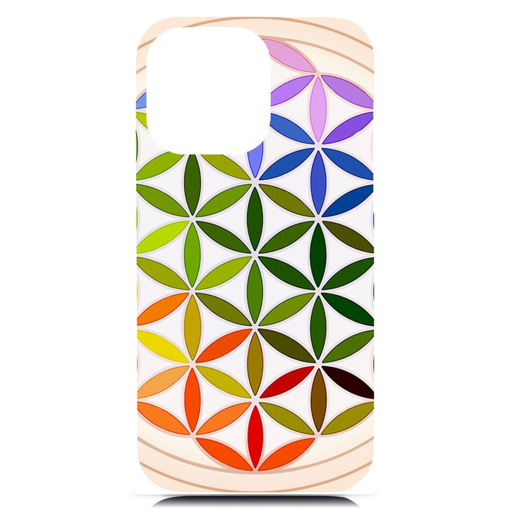 Mandala Rainbow Colorful iPhone 14 Pro Max Black UV Print Case