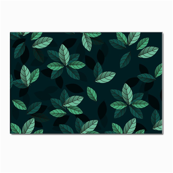 Foliage Postcard 4 x 6  (Pkg of 10)