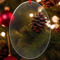 Foliage Uv Print Acrylic Ornament Oval