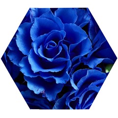 Roses Flowers Plant Romance Wooden Puzzle Hexagon by Proyonanggan