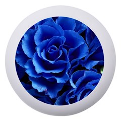 Roses Flowers Plant Romance Dento Box With Mirror by Proyonanggan