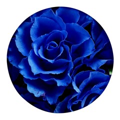 Roses Flowers Plant Romance Round Glass Fridge Magnet (4 Pack)