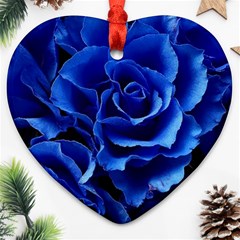 Blue Roses Flowers Plant Romance Blossom Bloom Nature Flora Petals Ornament (heart)