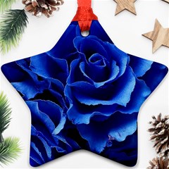 Blue Roses Flowers Plant Romance Blossom Bloom Nature Flora Petals Ornament (star) by Proyonanggan