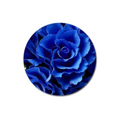 Blue Roses Flowers Plant Romance Blossom Bloom Nature Flora Petals Magnet 3  (round) by Proyonanggan