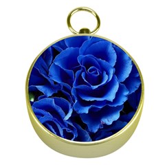 Blue Roses Flowers Plant Romance Blossom Bloom Nature Flora Petals Gold Compasses by Proyonanggan