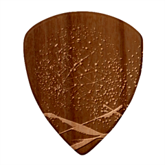 Particles Waves Line Multicoloured Wood Guitar Pick (set Of 10) by Proyonanggan