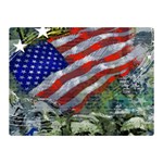 Usa United States Of America Images Independence Day Two Sides Premium Plush Fleece Blanket (Mini) 35 x27  Blanket Front