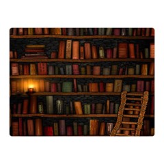 Books Library Two Sides Premium Plush Fleece Blanket (mini) by Ket1n9