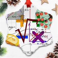 Mathematics Formula Physics School Snowflake Ornament (two Sides)