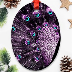 Purple Peacock Ornament (oval)