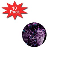 Purple Peacock 1  Mini Buttons (10 Pack)  by Bedest