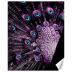 Purple Peacock Canvas 11  X 14  by Bedest