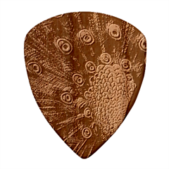 Purple Peacock Wood Guitar Pick (set Of 10) by Bedest