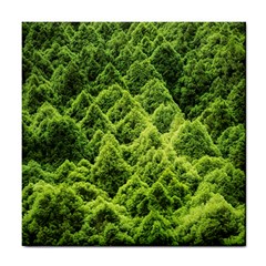 Green Pine Forest Tile Coaster by Ravend