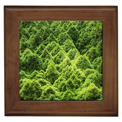 Green Pine Forest Framed Tile by Ravend