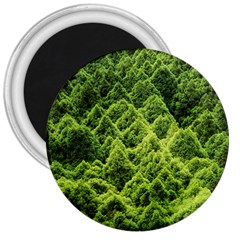 Green Pine Forest 3  Magnets by Ravend