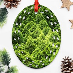 Green Pine Forest Ornament (oval Filigree)