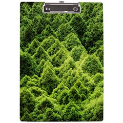 Green Pine Forest A4 Acrylic Clipboard by Ravend