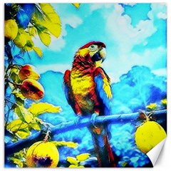 The Parrot Canvas 12  X 12  (unframed) by tunjiolaseni