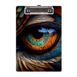 Eye Bird Feathers Vibrant A5 Acrylic Clipboard Front