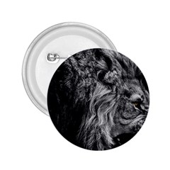 Angry Male Lion Wild Animal 2 25  Buttons by Loisa77