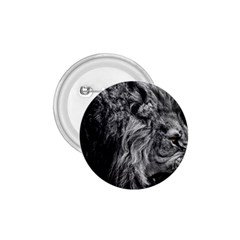 Angry Male Lion Wild Animal 1 75  Buttons by Loisa77