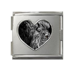 Angry Male Lion Wild Animal Mega Link Heart Italian Charm (18mm) by Loisa77